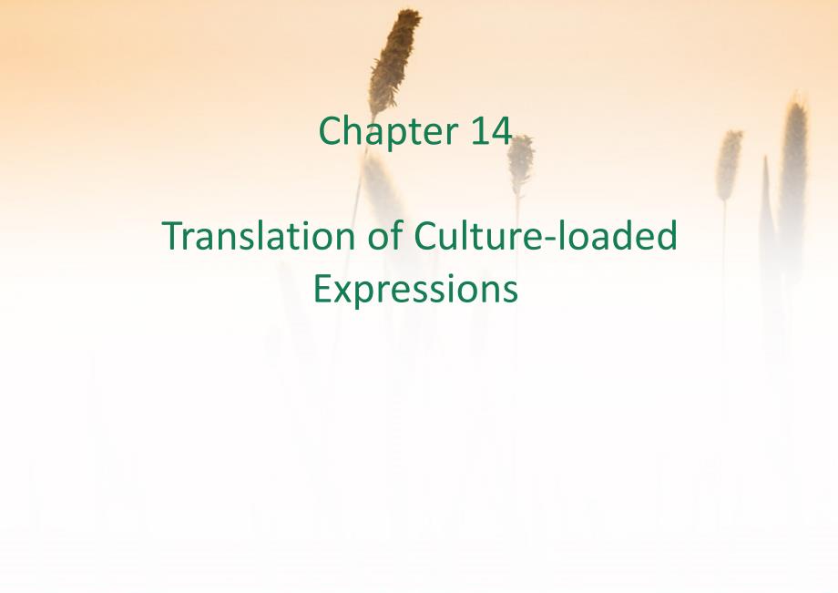 文化负载词的翻译_第1页