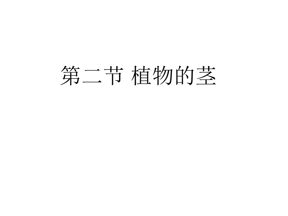 植物的营养器官之茎课件_第1页