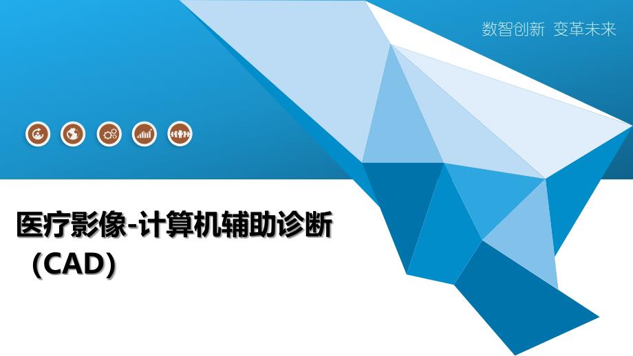 医疗影像-计算机辅助诊断（CAD）-洞察阐释_第1页