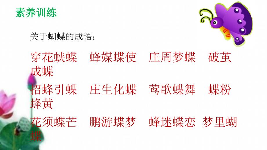 小毛虫ppt课件_第1页