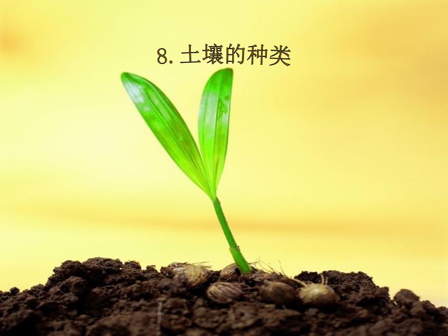8土壤的种类课件_第1页