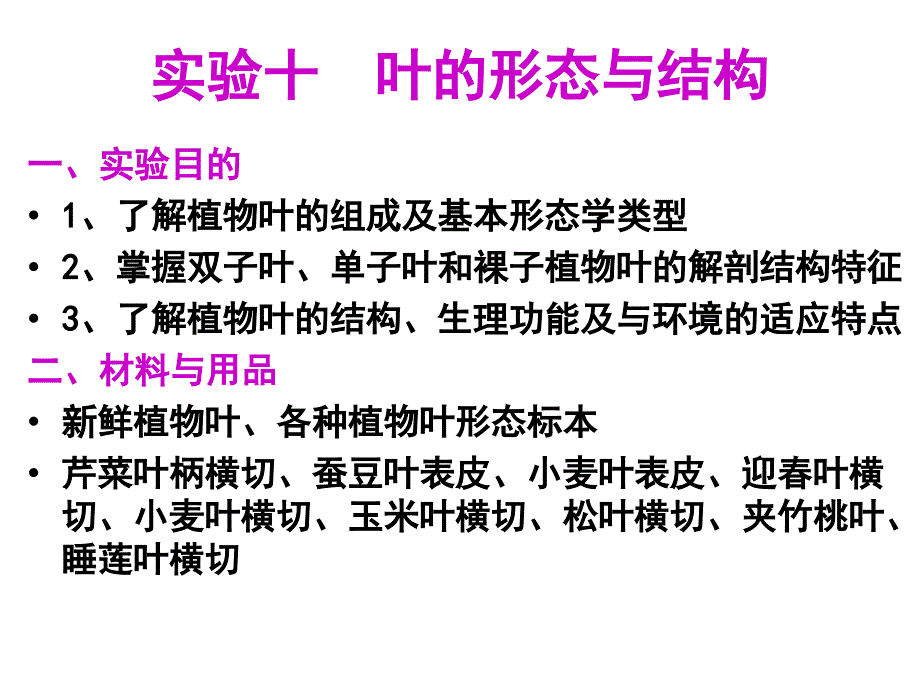 《实验叶的形态》PPT课件_第1页