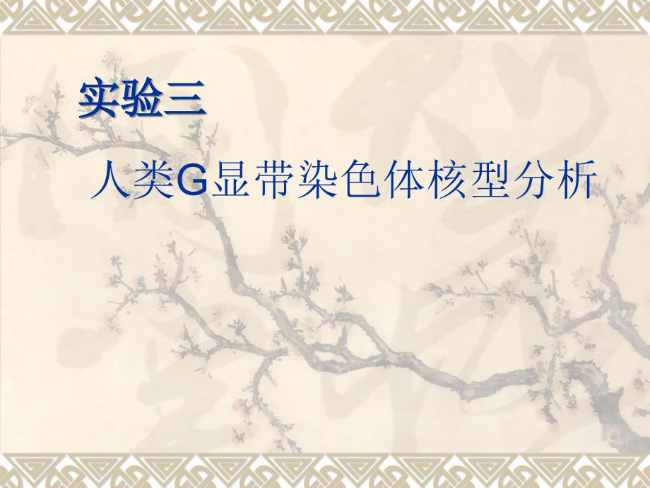 G显带核型分析F_第1页