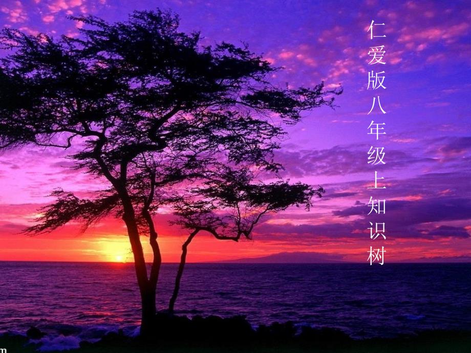 仁爱八年级英语知识树_第1页