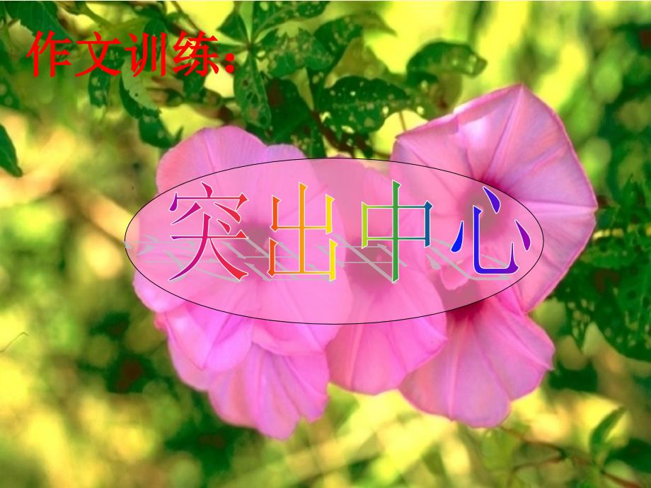 教育专题：写作训练《突出中心》PPT_第1页
