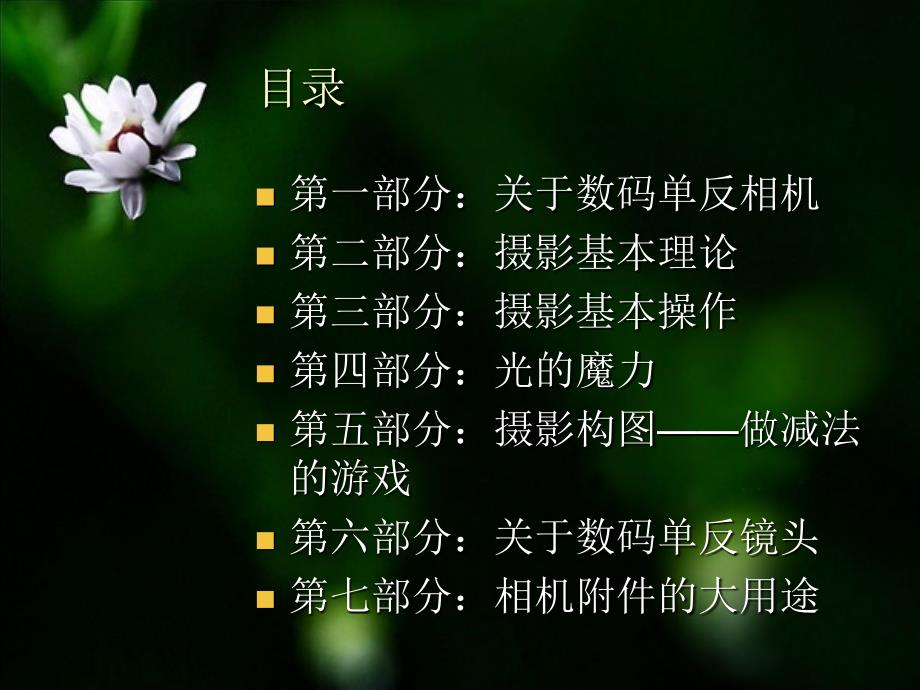 新手摄影入门教程课件_第1页
