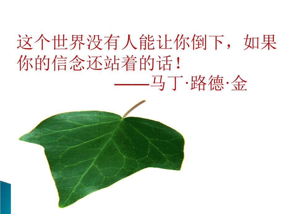 《最后的常春藤叶》课件_第1页