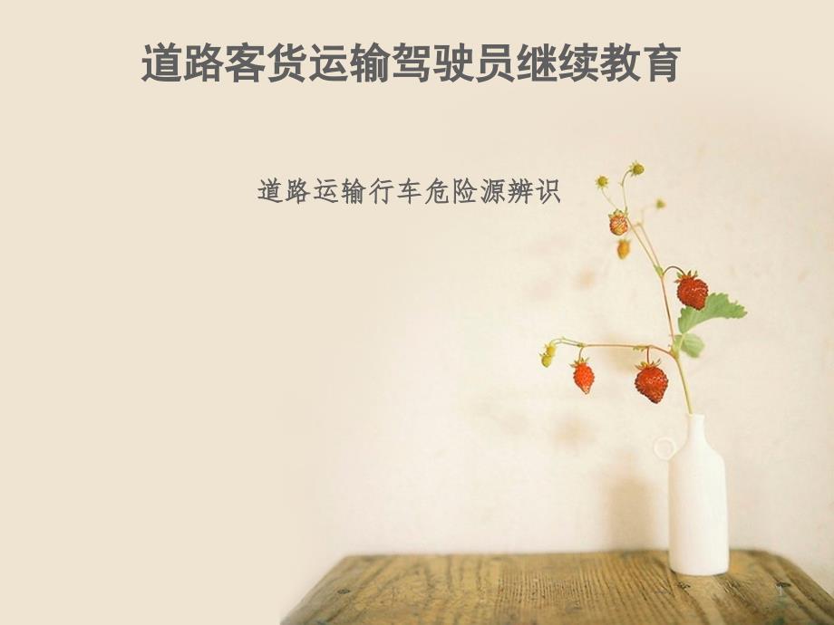 道路运输行车危险源辨识_第1页