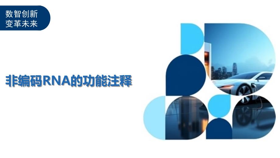非编码RNA的功能注释-洞察阐释_第1页