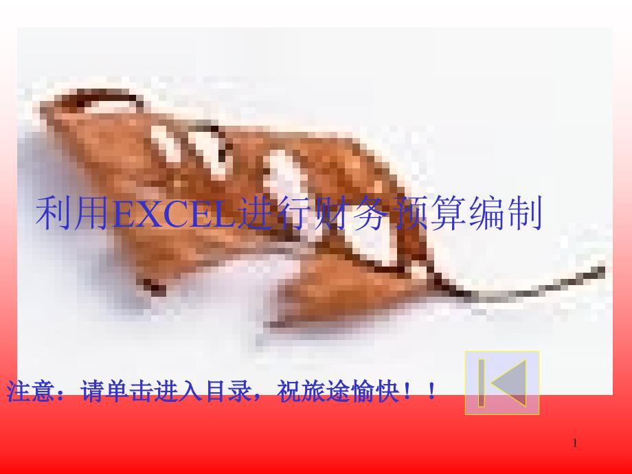 利用EXCEL进行财务预算编制(ppt+26)_第1页