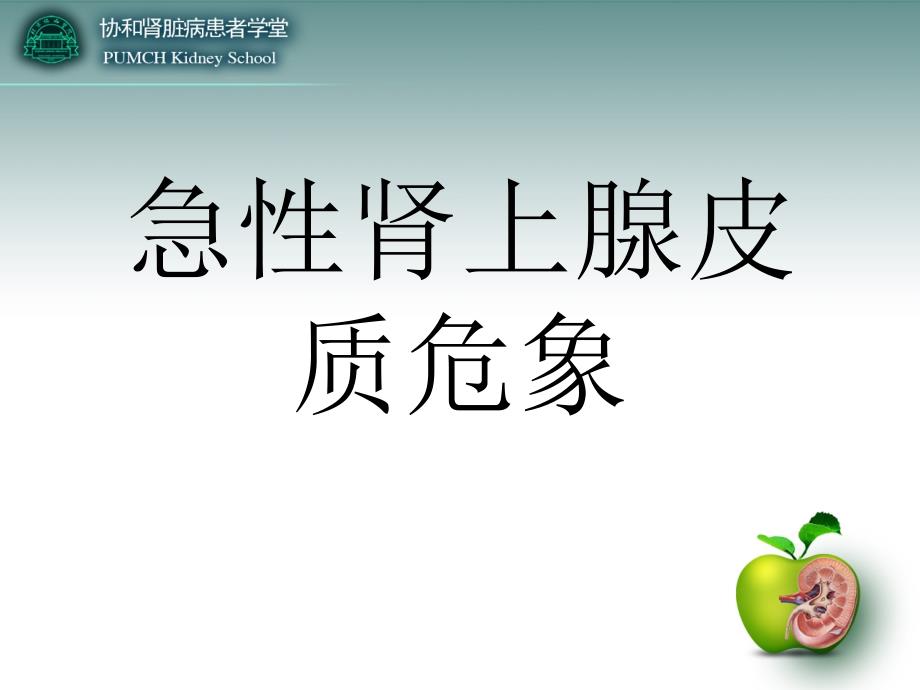 肾上腺皮质危象课件_第1页