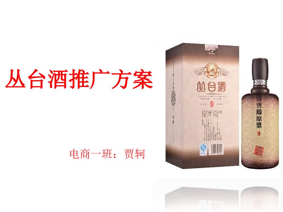 丛台酒推广方案课件_第1页