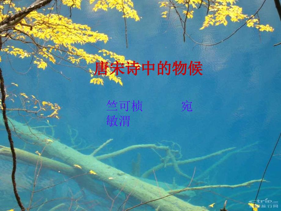 鄂教版唐宋诗中的物候_第1页