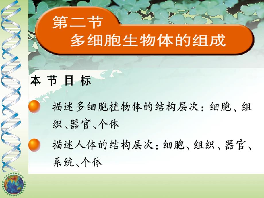 多细胞生物体的组成》》课件苏教版七年级上_第1页