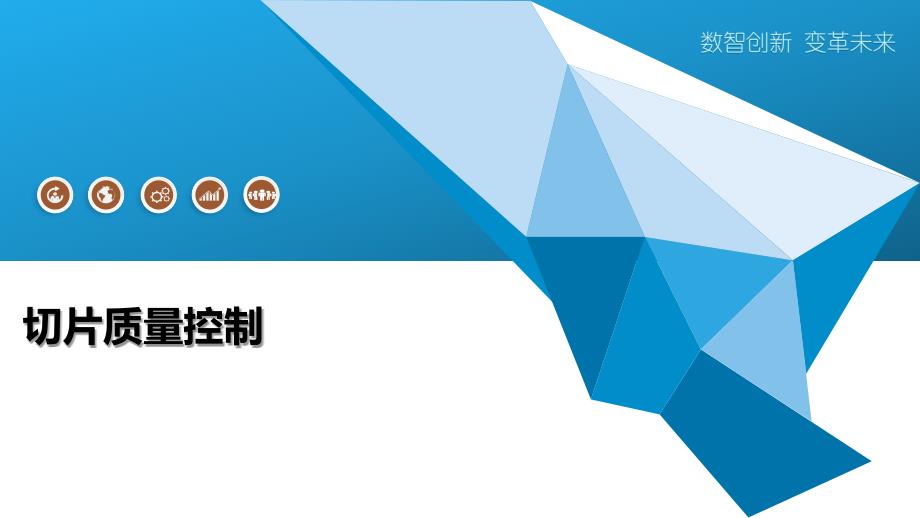 切片质量控制-全面剖析_第1页