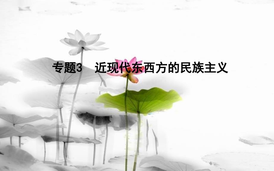 届高考历史二轮复习 第一部分 近代篇 高考聚焦 中外关联 专题3 近现代东西方的民族主义课件_第1页