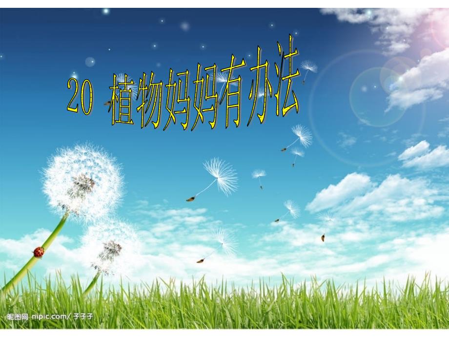 植物妈妈有办法_2012121895603300_507_第1页