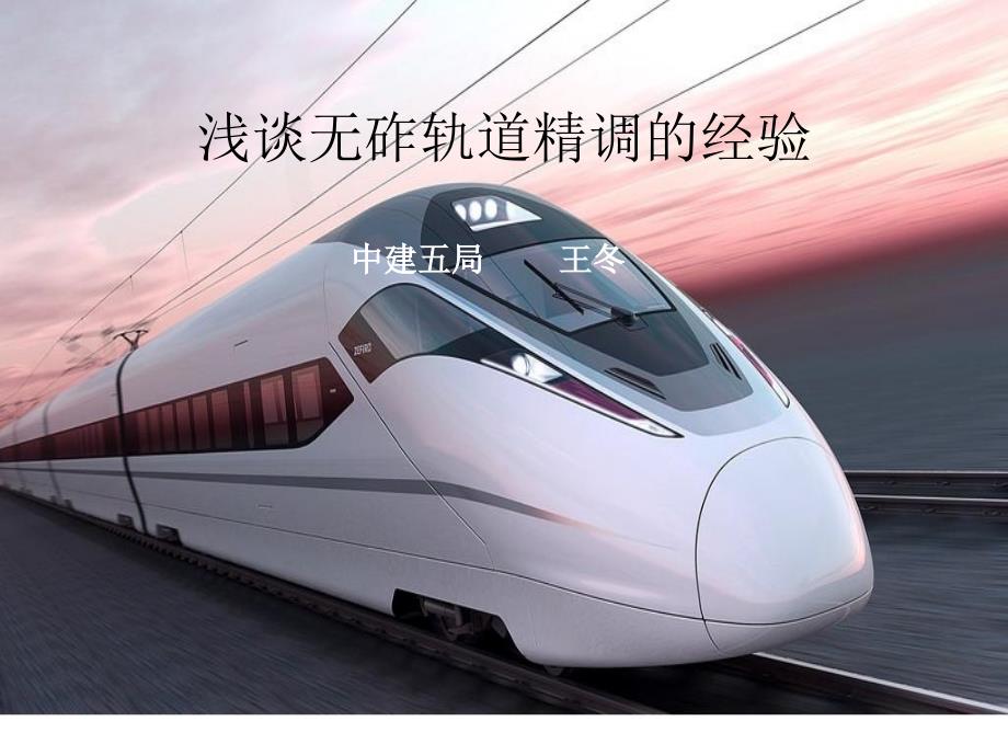 浅谈无砟轨道精调的经验概述课件_第1页