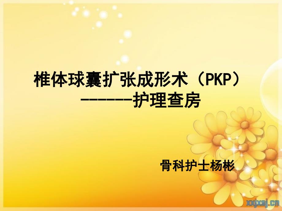 《PKP护理查房》PPT课件_第1页