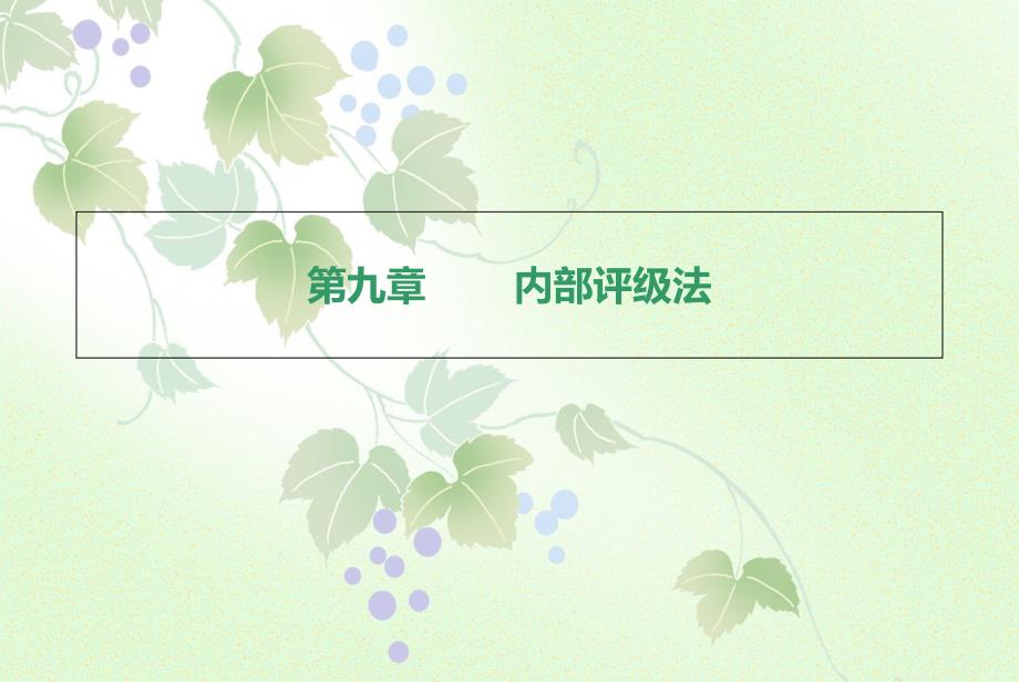 《内部评级法》PPT课件_第1页