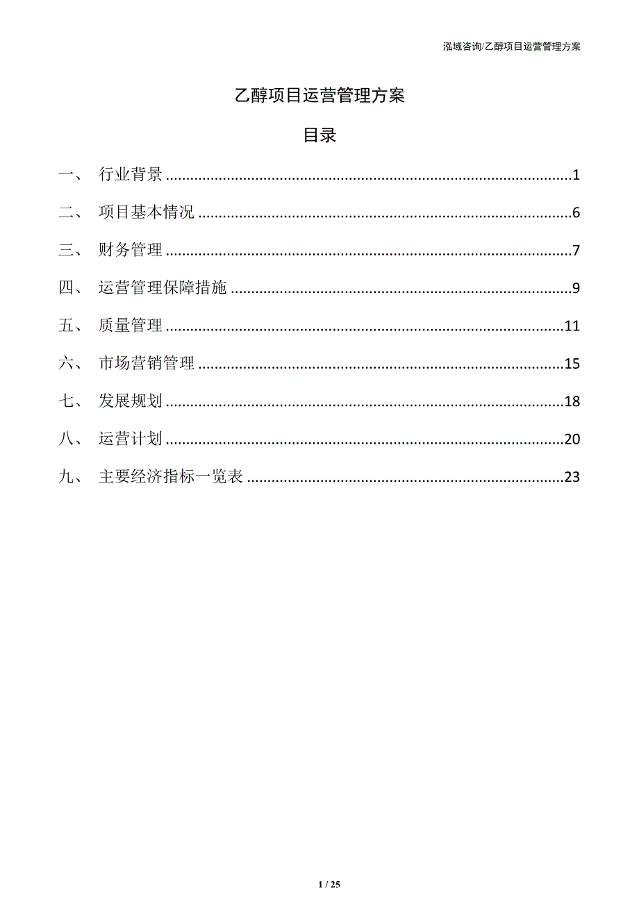 乙醇项目运营管理方案（参考）_第1页