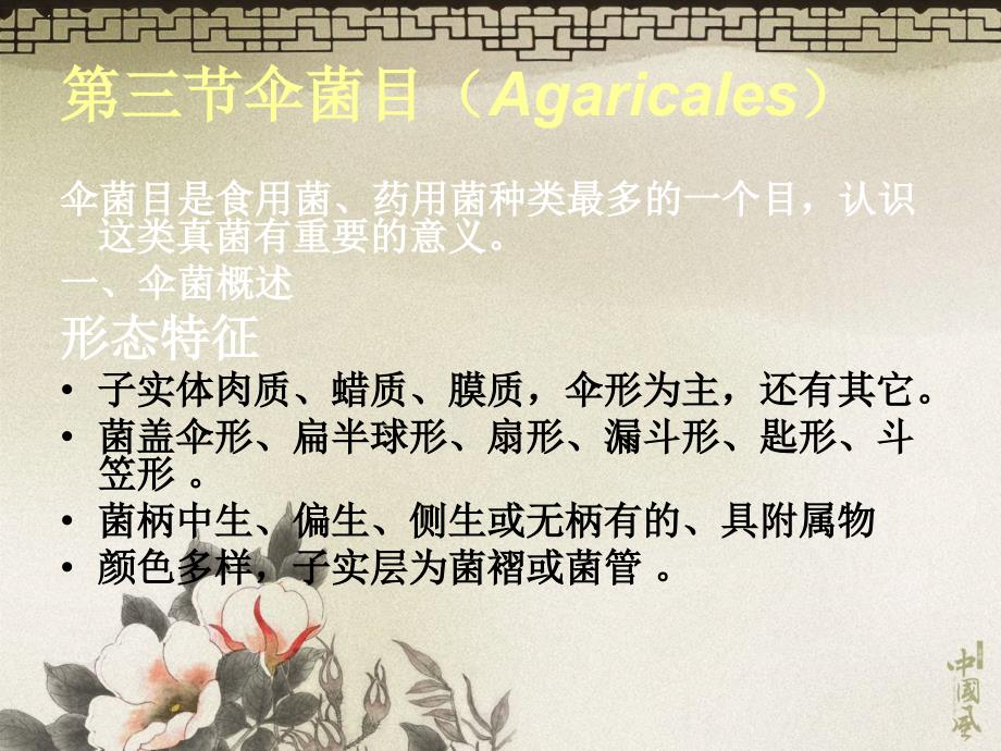 食用菌栽培10课件_第1页
