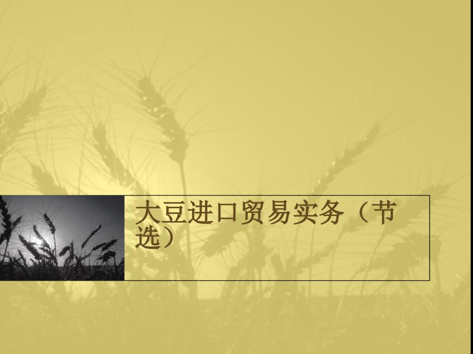大豆进口贸易实务(节选)_第1页