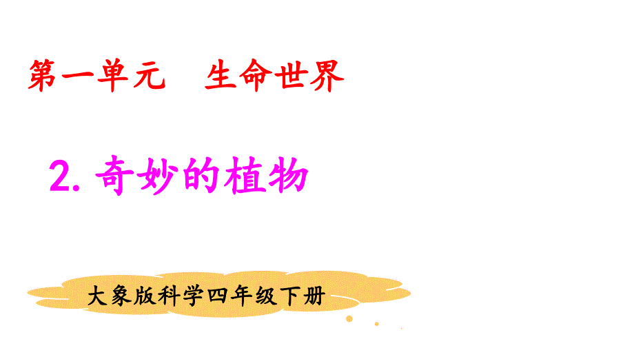 2021版大象版四年级科学下册12奇妙的植物教学课件_第1页