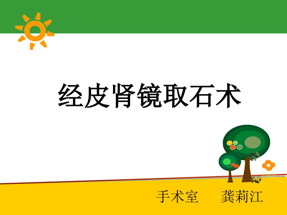 经皮肾镜碎石_第1页