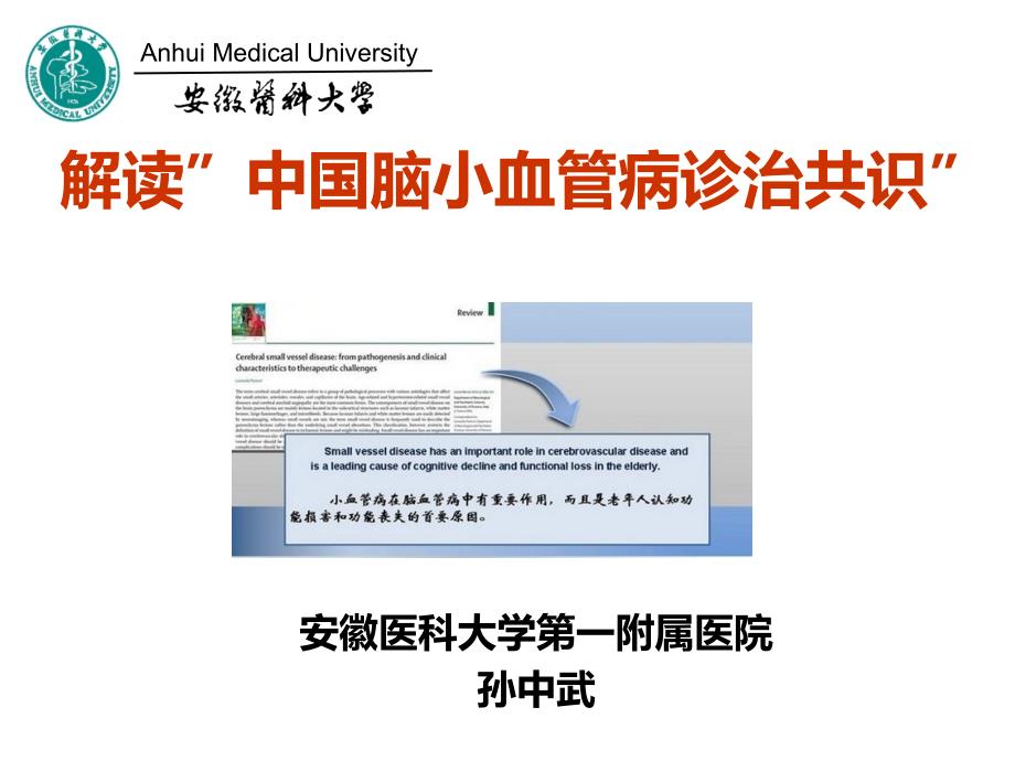 脑小血管病共识_第1页