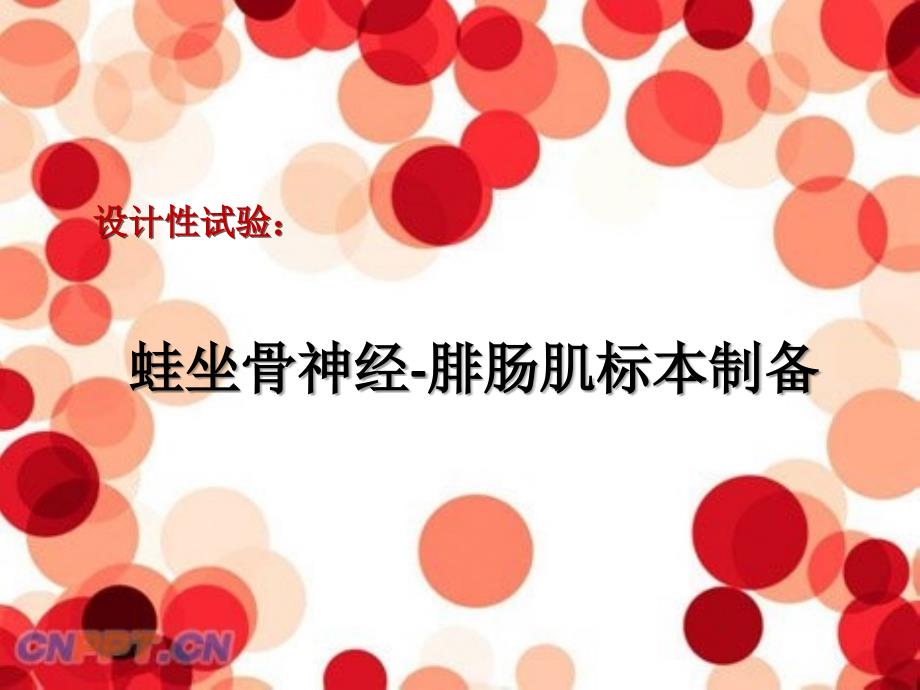 蛙坐骨神经-腓肠肌标本制备实验_第1页