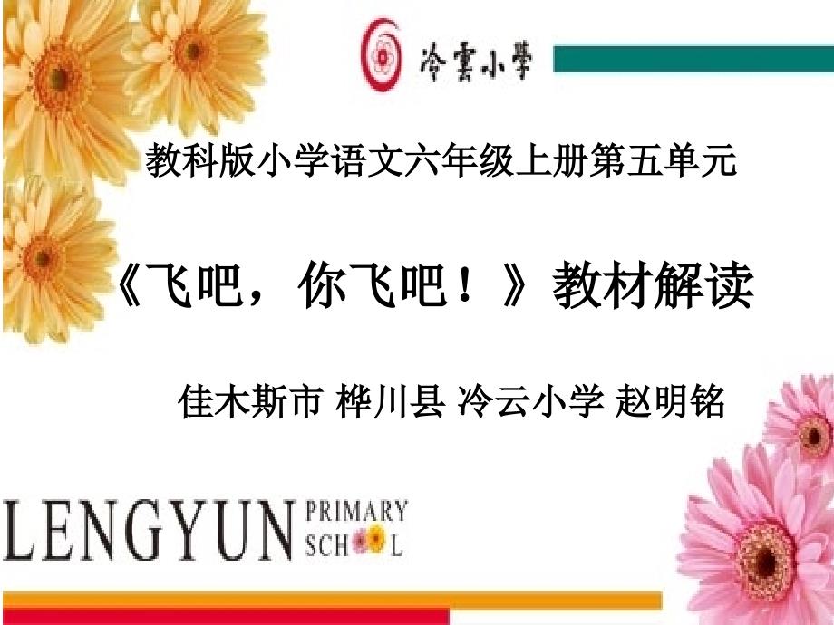 飞吧你飞吧教材解读详解课件_第1页