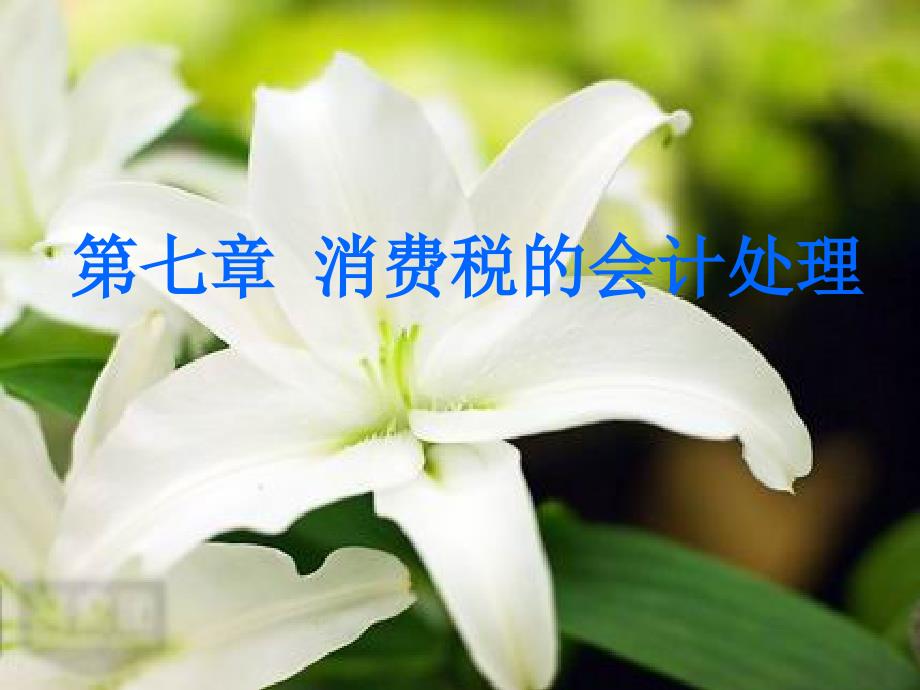 第七章消费税的会计处理-ppt课件_第1页