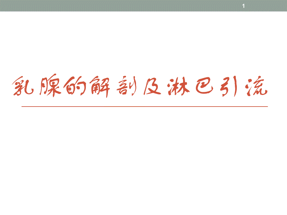 乳腺的解剖及淋巴引流课件_第1页