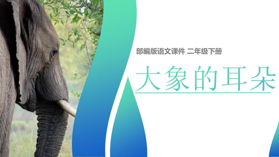 部编版二年级下册语文《大象的耳朵》PPT课件3_第1页