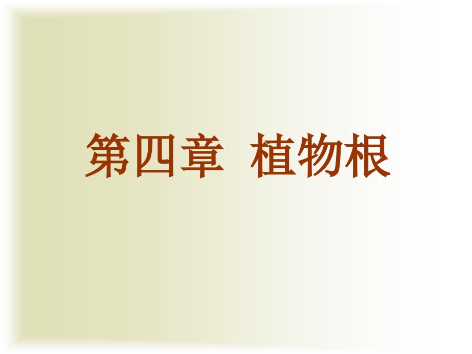 园林植物学-第四章植物根_第1页