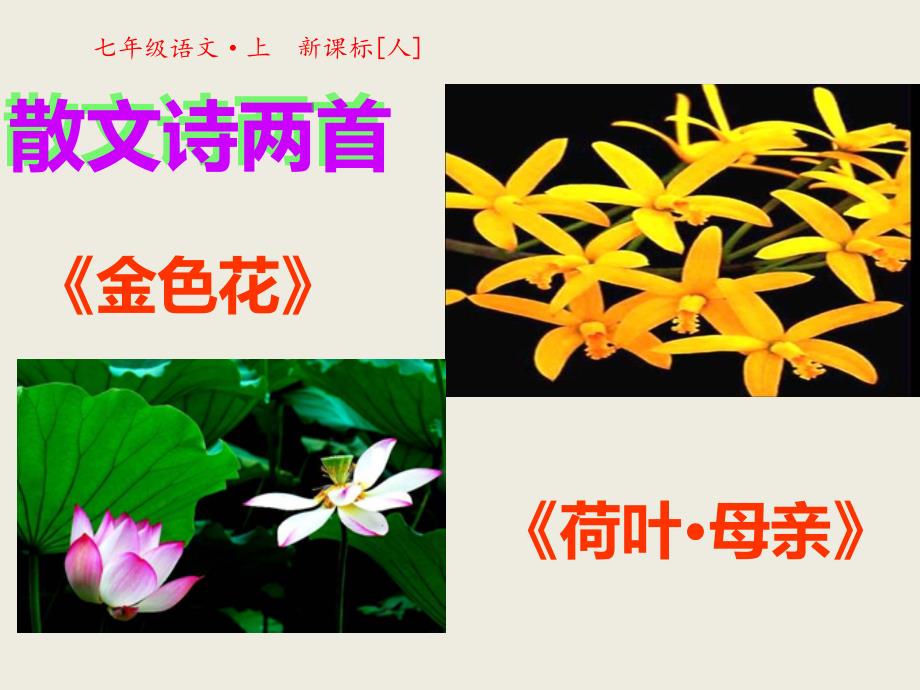 散文诗两首课件24-人教版-(28张)_第1页
