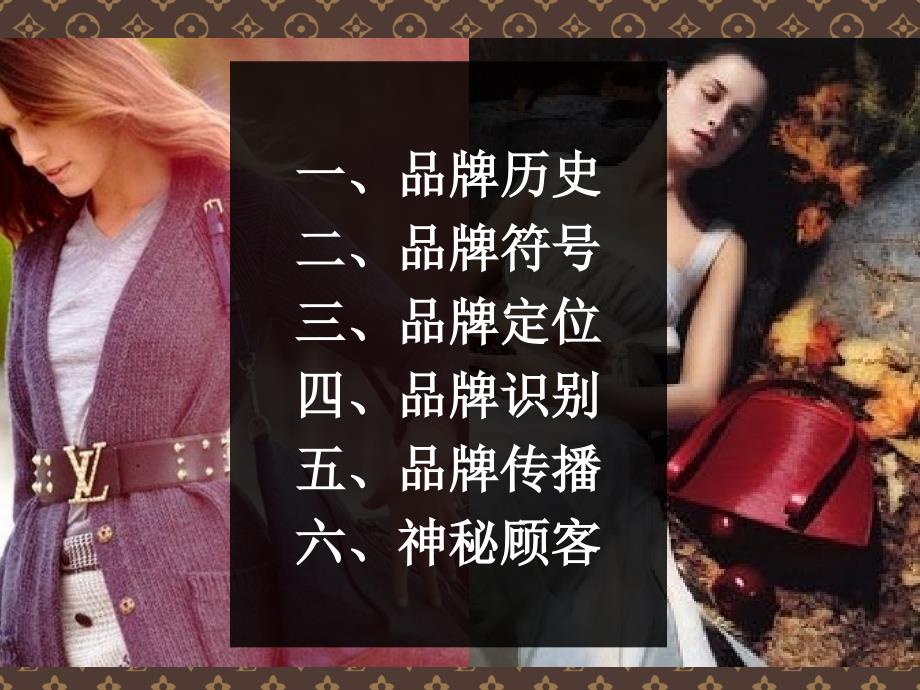LV品牌经典分析_第1页