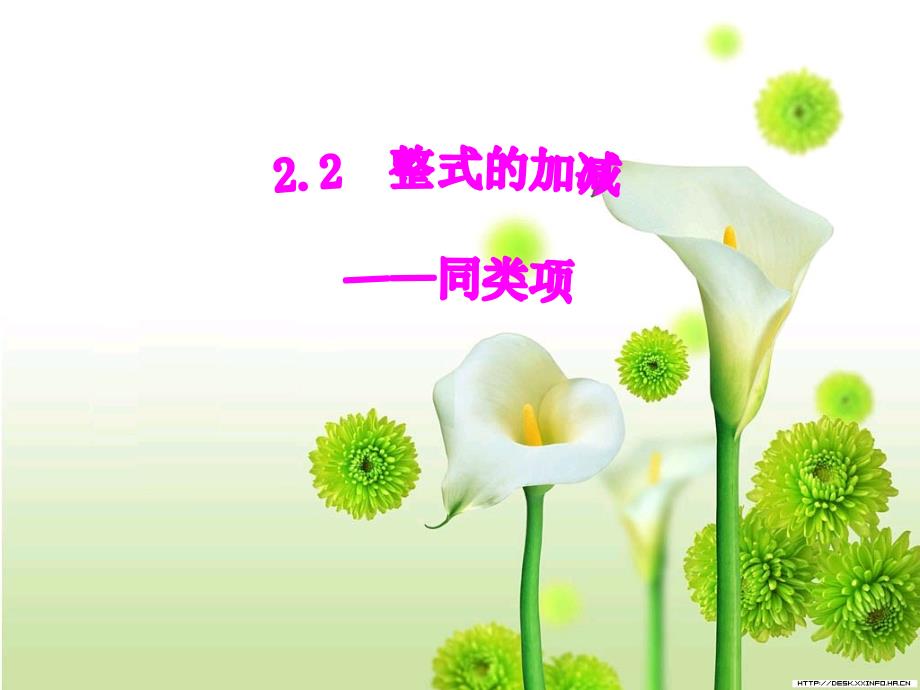 22整式的加减1-同类项_第1页