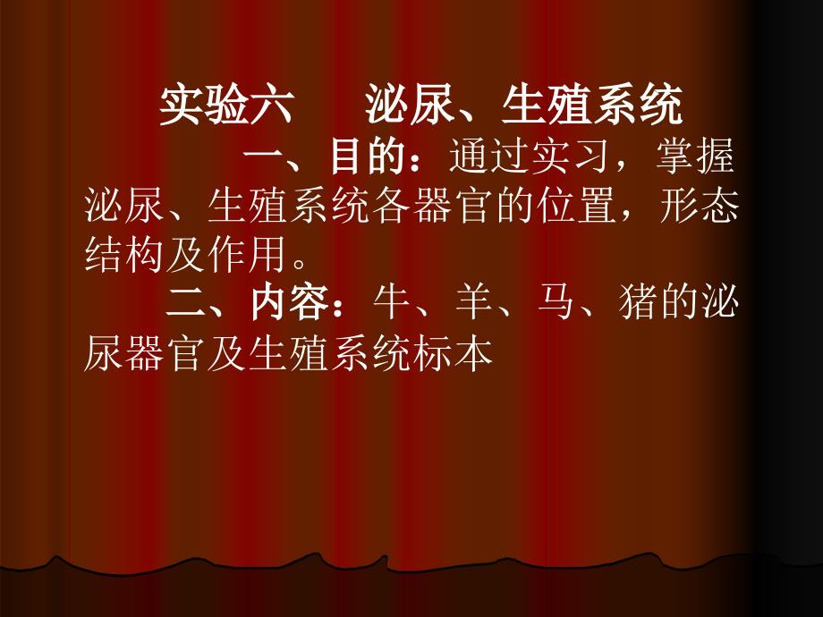 实习八泌尿生殖系_第1页