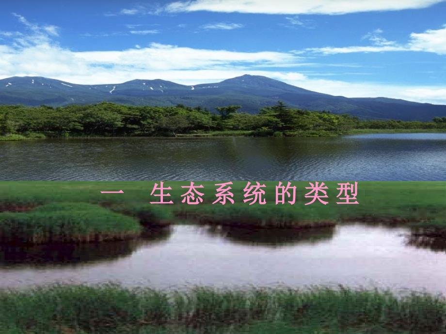 生态系统的概念和类型_第1页