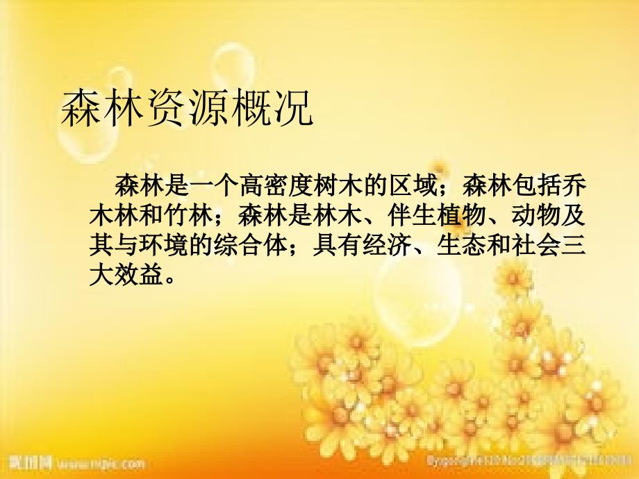 森林资源概况-PPT_第1页
