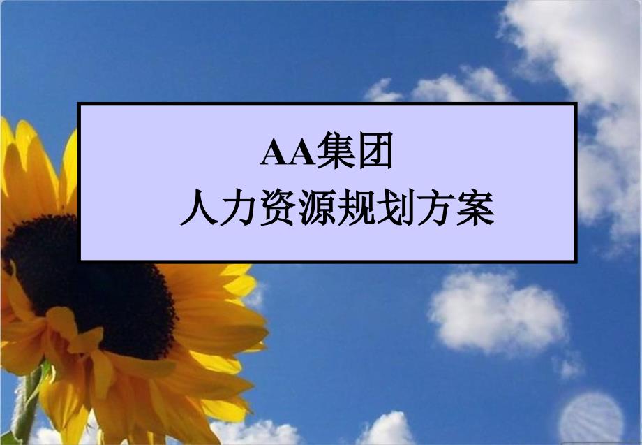 某房地产公司人力资源规划方案(参考)_第1页