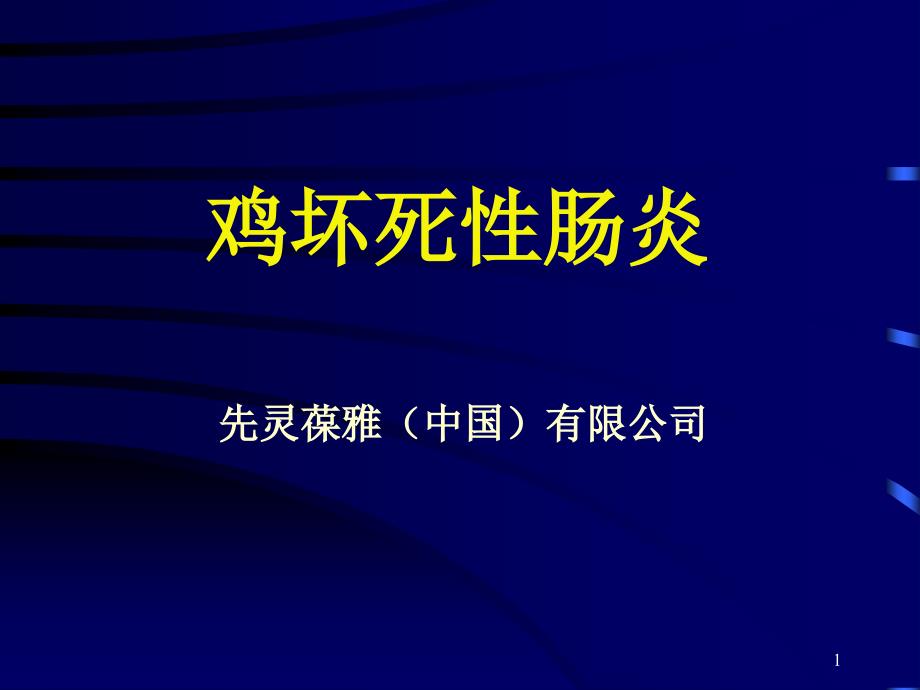 鸡产气荚膜梭菌病_第1页