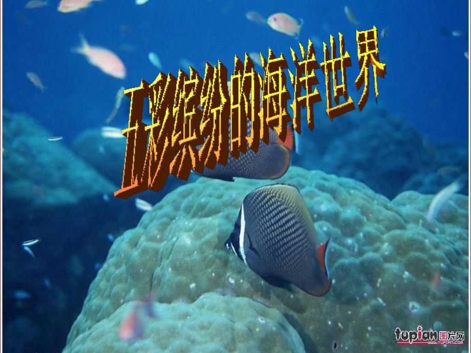 《海洋科普知识》PPT课件_第1页