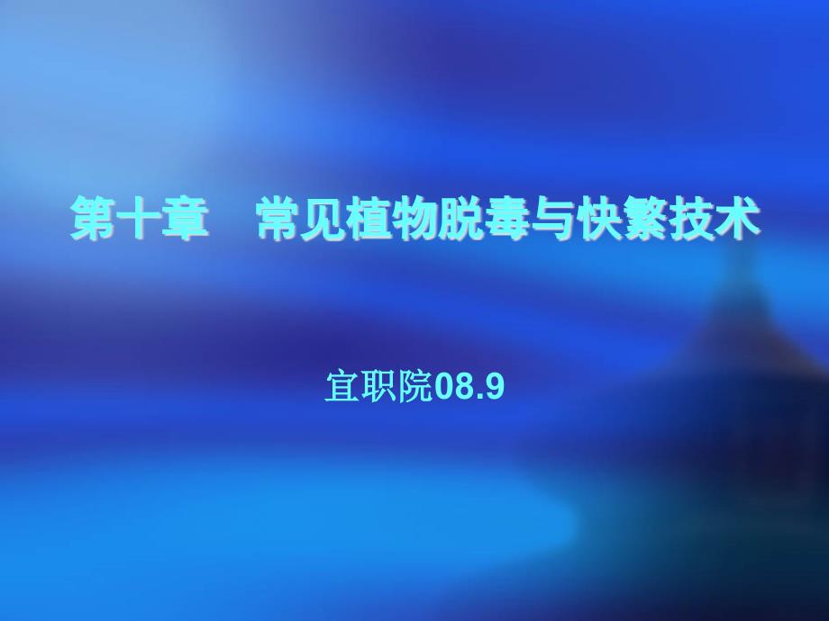 组织培养第十章常见植物脱毒与快繁_第1页