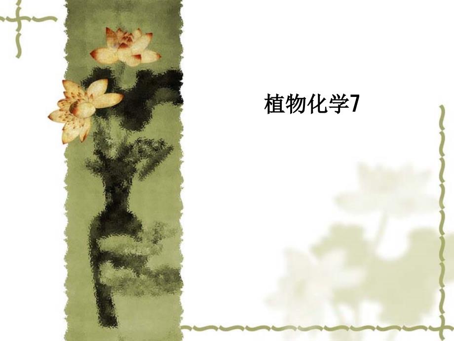 植物化学7-课件_第1页