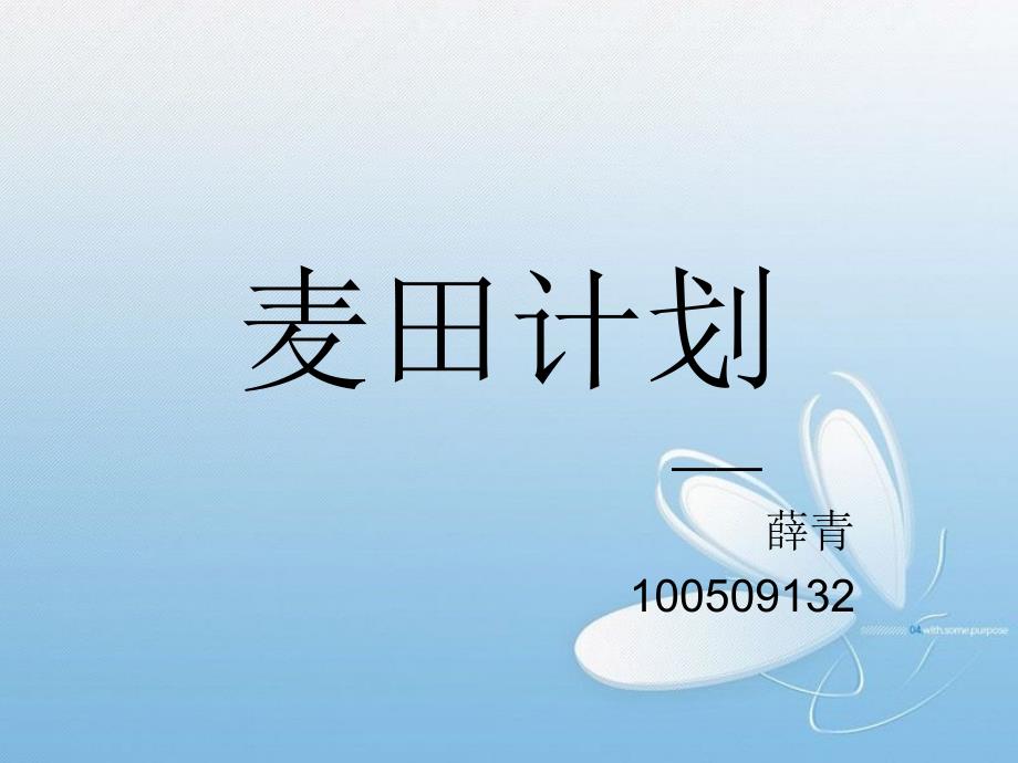 麦田计划演讲稿_第1页