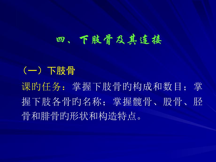 解剖学下肢骨_第1页