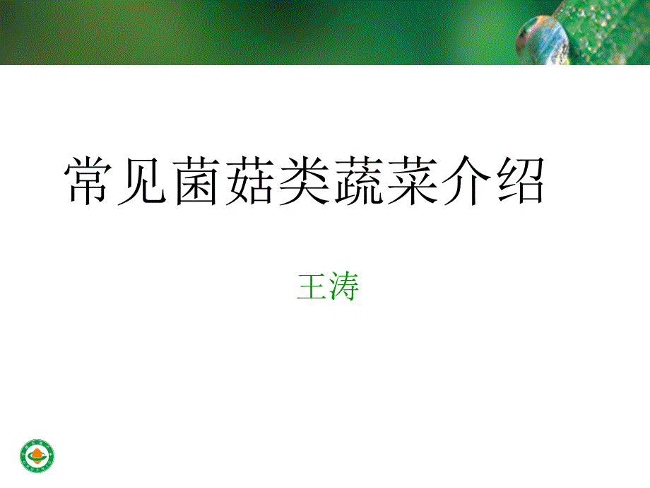常见菌菇类蔬菜介绍课件_第1页